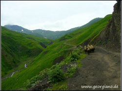 Khewsureti Landschaft.JPG